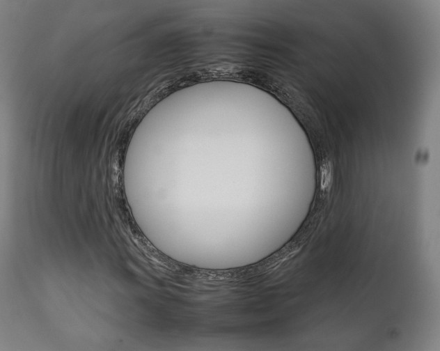 X0000112091011200908041043