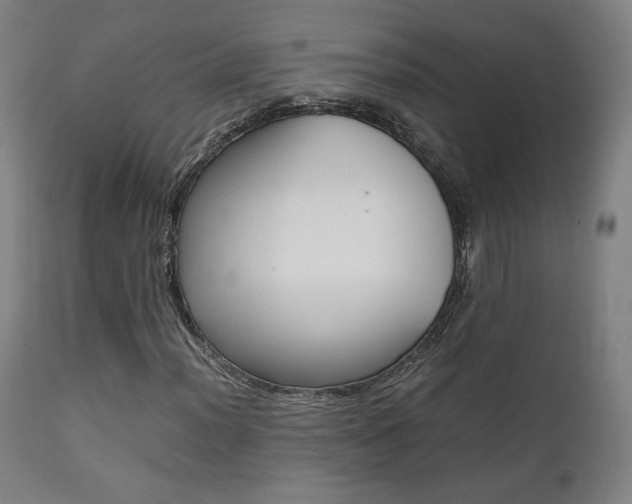 X0000112091012200908041043