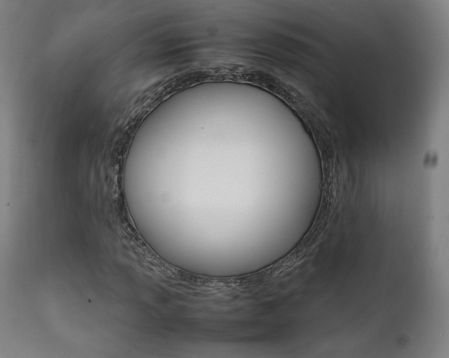 X0000112091013200908041043