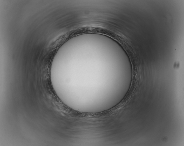 X0000112091014200908041043