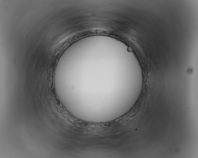 X0000112091015200908041043
