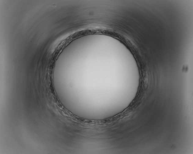 X0000112091016200908041043