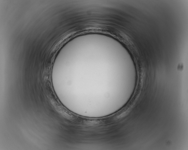 X0000112091017200908041043