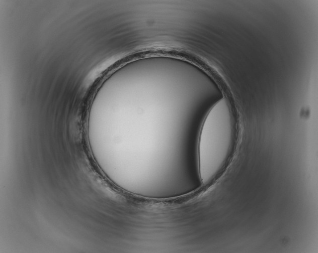 X0000112091018200908041043