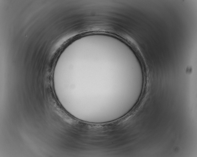 X0000112091019200908041043