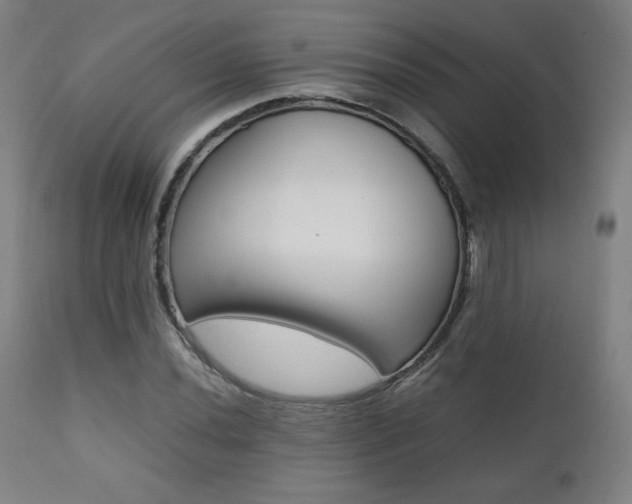 X0000112091020200908041043