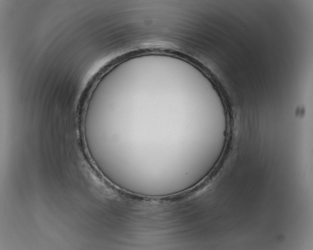 X0000112091022200908041043
