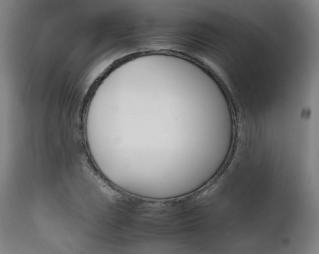 X0000112091023200908041043