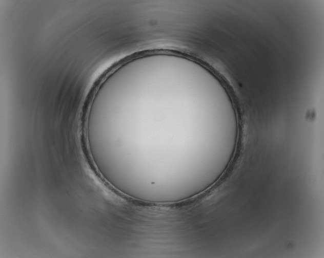 X0000112091024200908041043