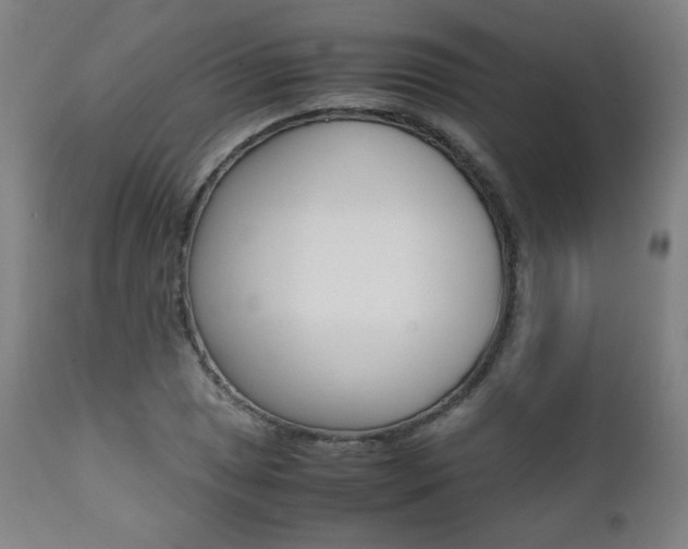 X0000112091025200908041043