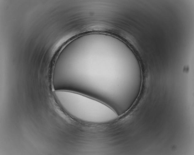 X0000112091026200908041043