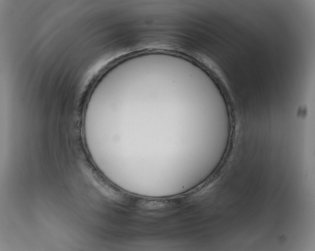 X0000112091027200908041043