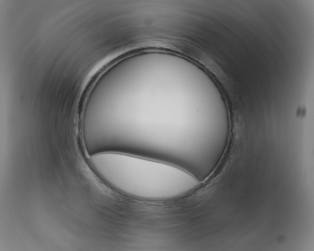 X0000112091028200908041043