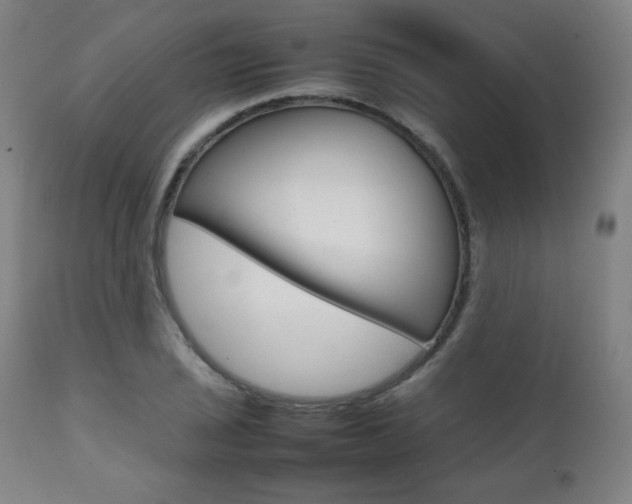 X0000112091029200908041043