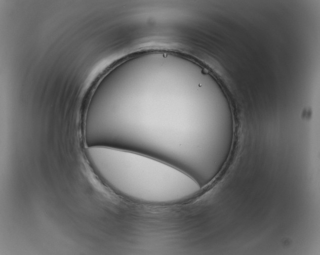 X0000112091030200908041043