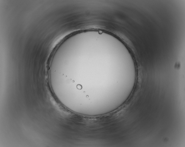 X0000112091031200908041043
