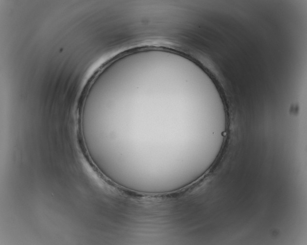 X0000112091032200908041043