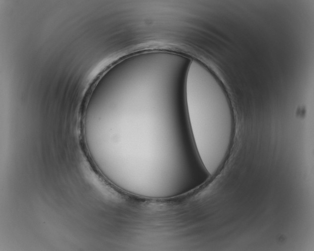 X0000112091034200908041043