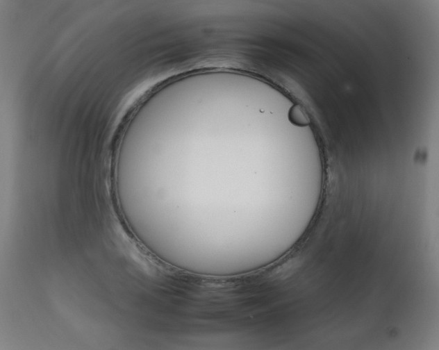 X0000112091035200908041043