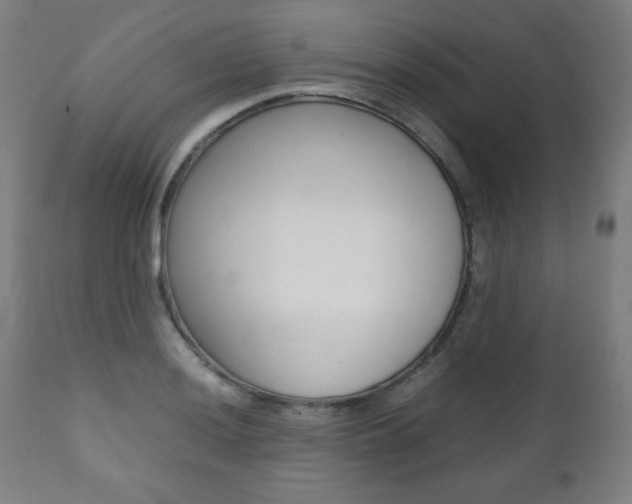 X0000112091036200908041043