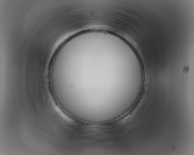 X0000112091037200908041043