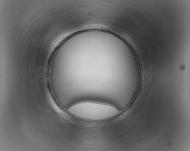X0000112091038200908041043