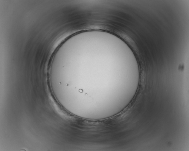 X0000112091039200908041043