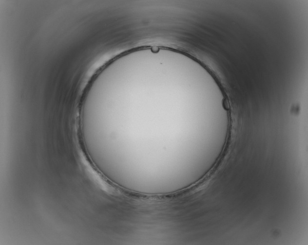 X0000112091040200908041043