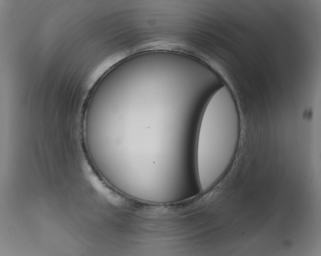 X0000112091042200908041043