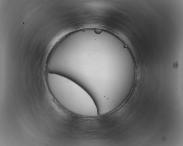 X0000112091043200908041043