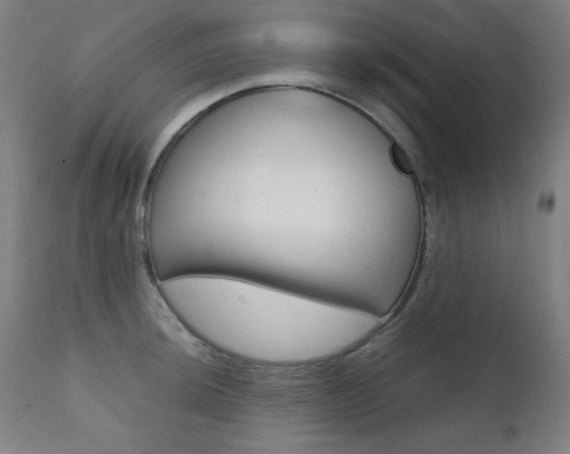 X0000112091044200908041043