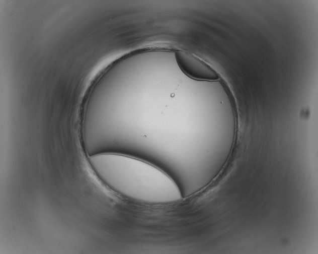 X0000112091045200908041043