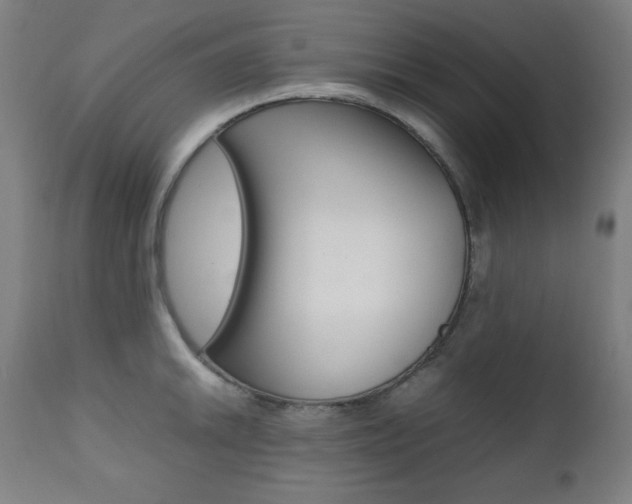 X0000112091046200908041043