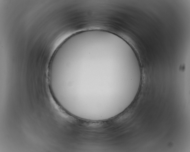 X0000112091047200908041043