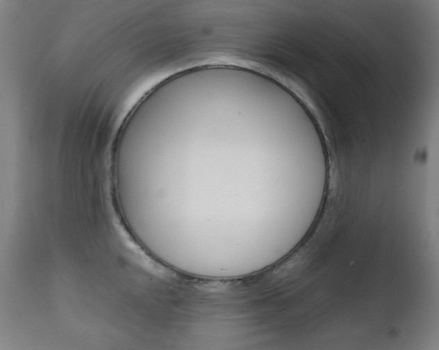 X0000112091048200908041043