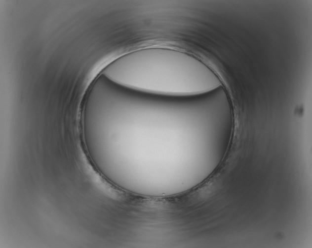 X0000112091050200908041043