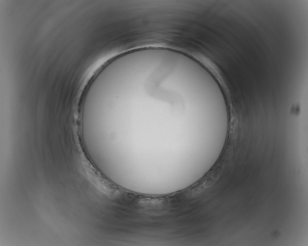 X0000112091051200908041043