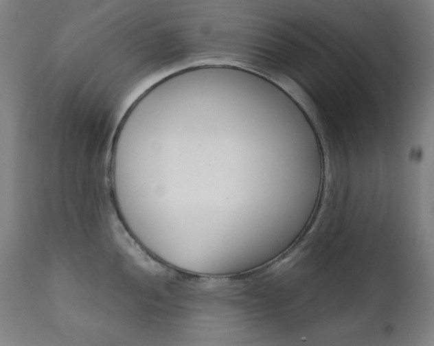 X0000112091052200908041043