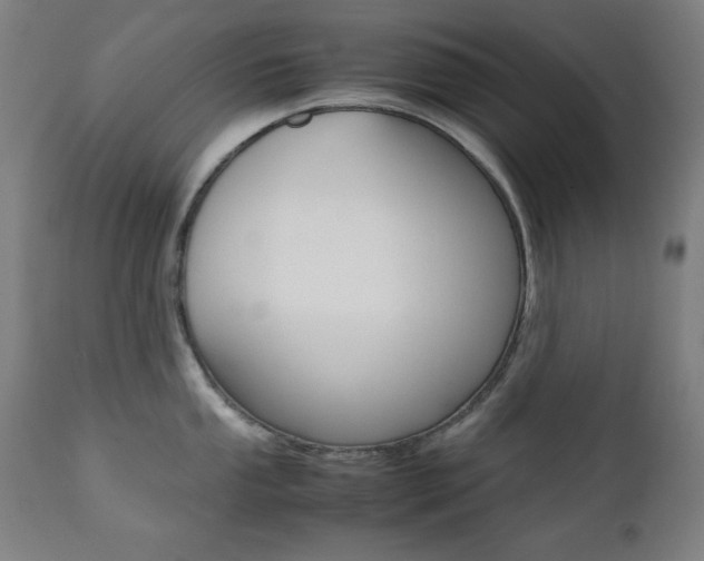 X0000112091053200908041043
