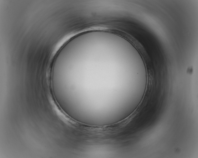 X0000112091054200908041043