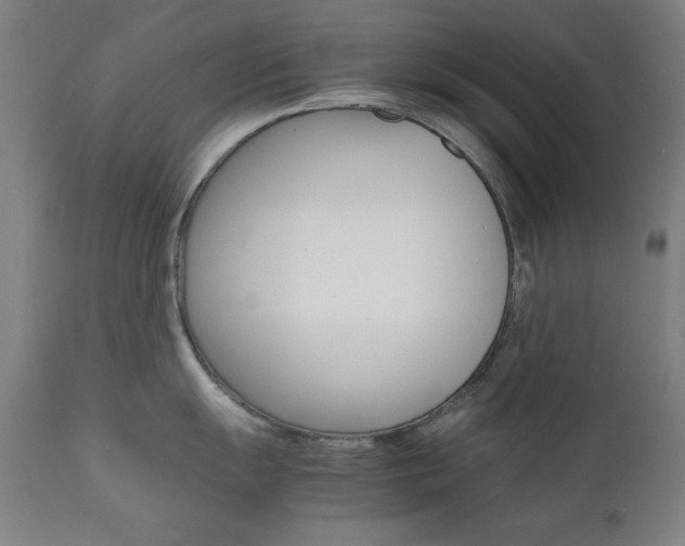 X0000112091055200908041043