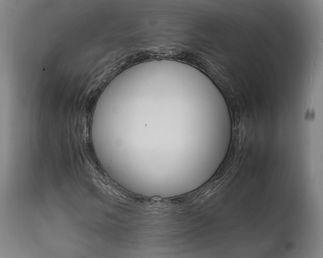 X0000112091058200908041043