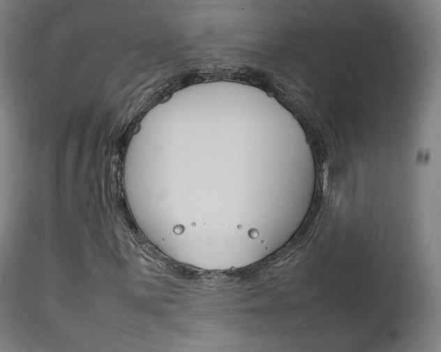 X0000112091059200908041043