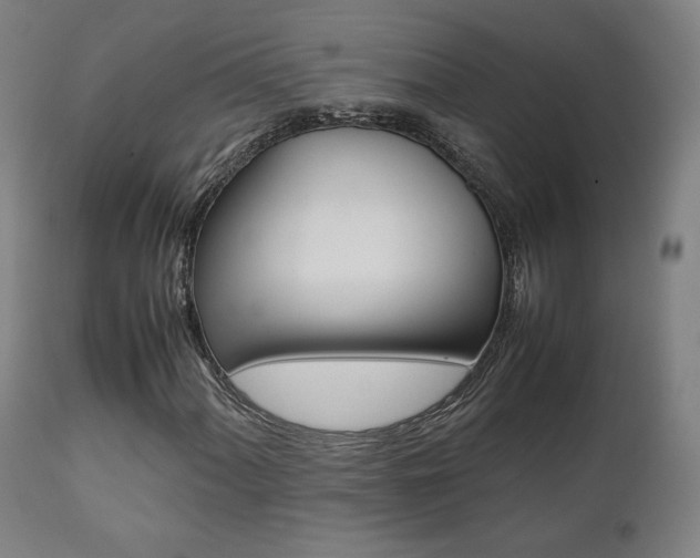 X0000112091060200908041042