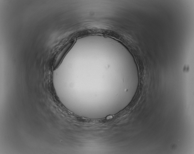 X0000112091061200908041042