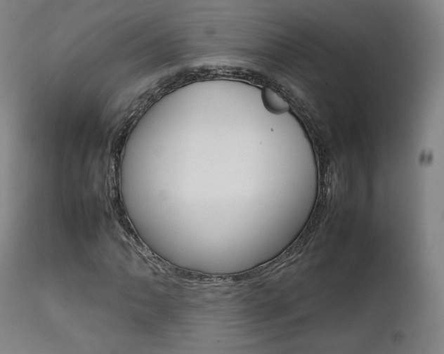 X0000112091062200908041042
