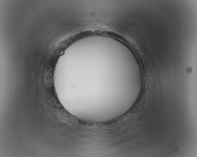 X0000112091063200908041042