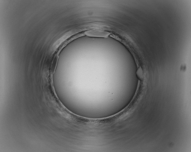 X0000112091065200908041042