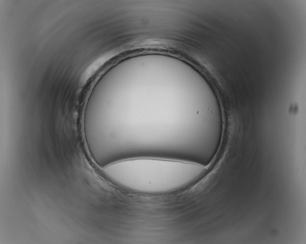 X0000112091066200908041042