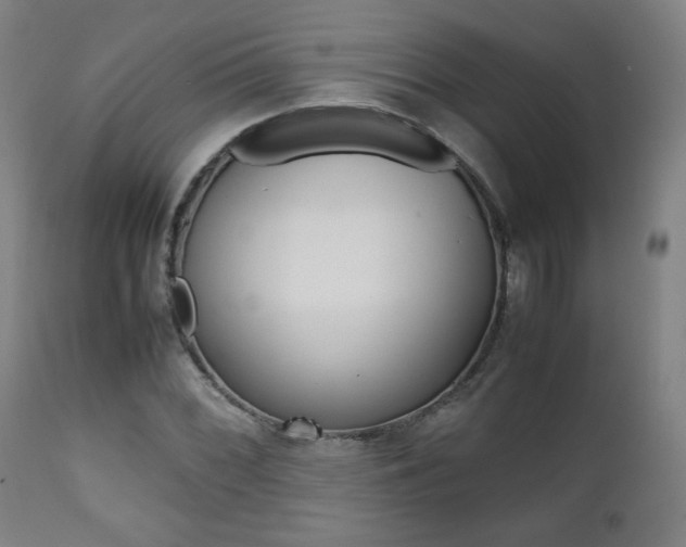 X0000112091068200908041042
